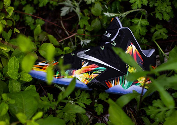 Lebron top 11 everglades