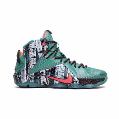 Nike LeBron 12 Akron Birch