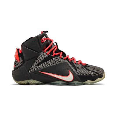 Nike LeBron 12 Court Vision