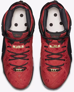 レブロン12 EXT キングス クローク 748861-600 Lookbook レブロン12 EXT キングス クローク 748861-600