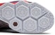 Nike LeBron 12 SE 'Apa Dia LeBron' 812511-909
