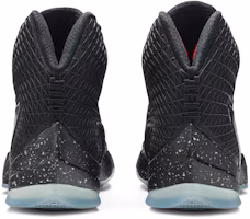 Details for Nike LeBron 13 'Elite Black' 831923-001