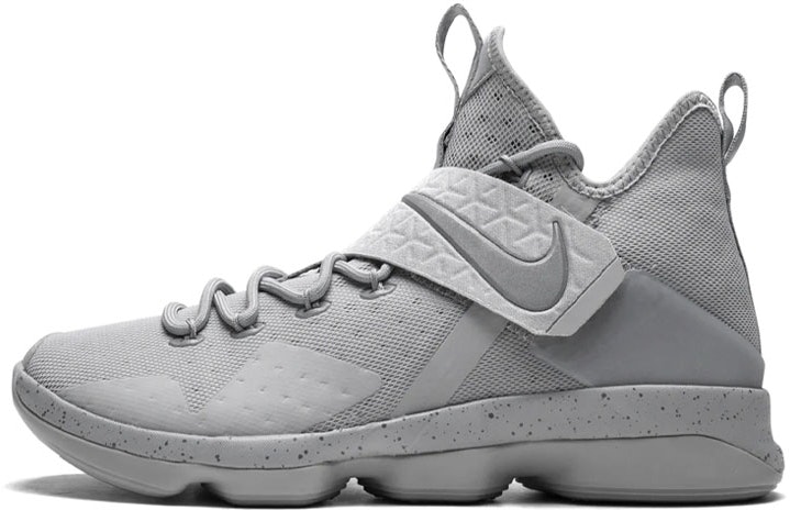 le-bron-14-silver