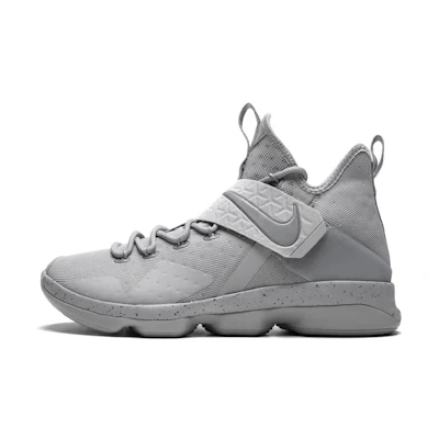 Nike LeBron 14 Silver