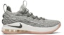 Nike LeBron 15 Low Light Bone AO1755-003