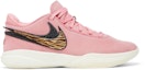 Buy Nike LeBron 20 NRG EP 'South Beast' Lelaki DQ3827-900