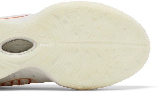 Nike LeBron 21 'Akoya' FV2345-001 Purchase Nike LeBron 21 'Akoya' FV2345-001