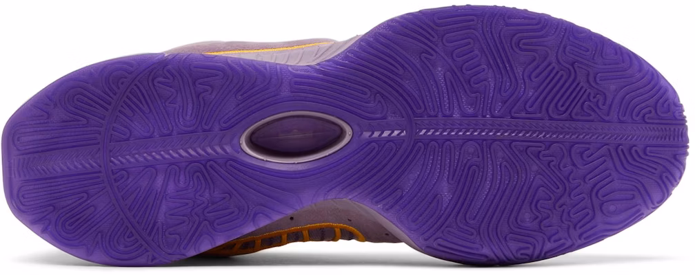 Nike LeBron 21 Purple Rain FV2345 500 FV2346 500 FV2345 500