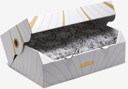 Nike LeBron 21 EP 篮球鞋 HF5352-001 2