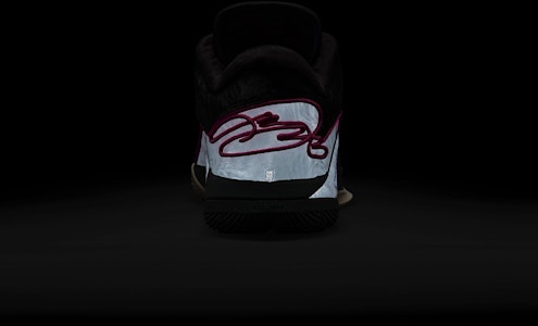 Nike LeBron 22 "Tunnel Vision" Edisi EP FZ1095-001 2