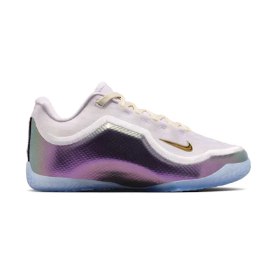 Nike LeBron 23 Elite 'For The Record'