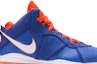 Order Nike LeBron 8 'HWC' 2021 Lelaki Sukan Kasut Malaysia CV1750-400