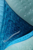 Shop Nike LeBron 9 'China' 469764-800