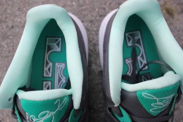 Nike LeBron 9 Low 'Easter' 510811-001 1