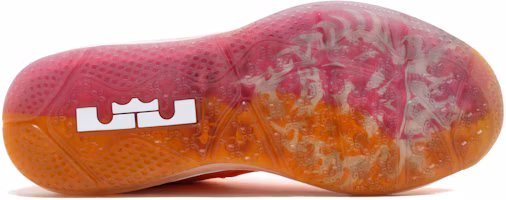 Shop Nike LeBron 9 Low 'Floridian' 510811-800
