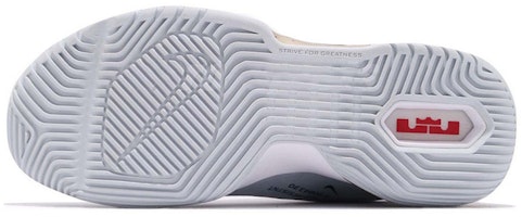 レブロン アンバサダー11 "プラチナ" AO2920-002 Purchase レブロン アンバサダー11 "プラチナ" AO2920-002