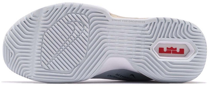 Nike LeBron Ambassador 11 'Platina Murni' AO2920-002 Purchase Nike LeBron Ambassador 11 'Platina Murni' AO2920-002