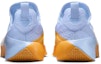 Purchase Nike LeBron TR 1 'Aluminum University Gold' FJ6151-401