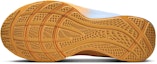 Details for Nike LeBron TR 1 'Aluminum University Gold' FJ6151-401