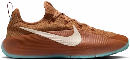 Nike LeBron TR 1 'Better With Age' FJ6151-200 Nike LeBron TR 1 'Better With Age' FJ6151-200