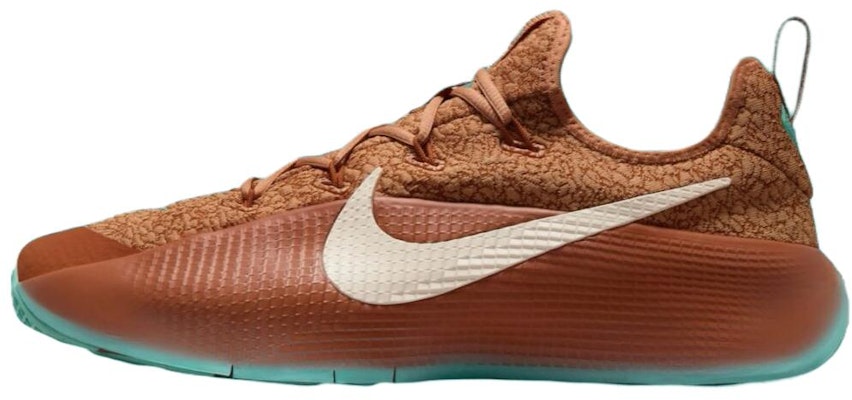 Nike LeBron TR 1 'Better With Age' FJ6151-200 Buy Nike LeBron TR 1 'Better With Age' FJ6151-200
