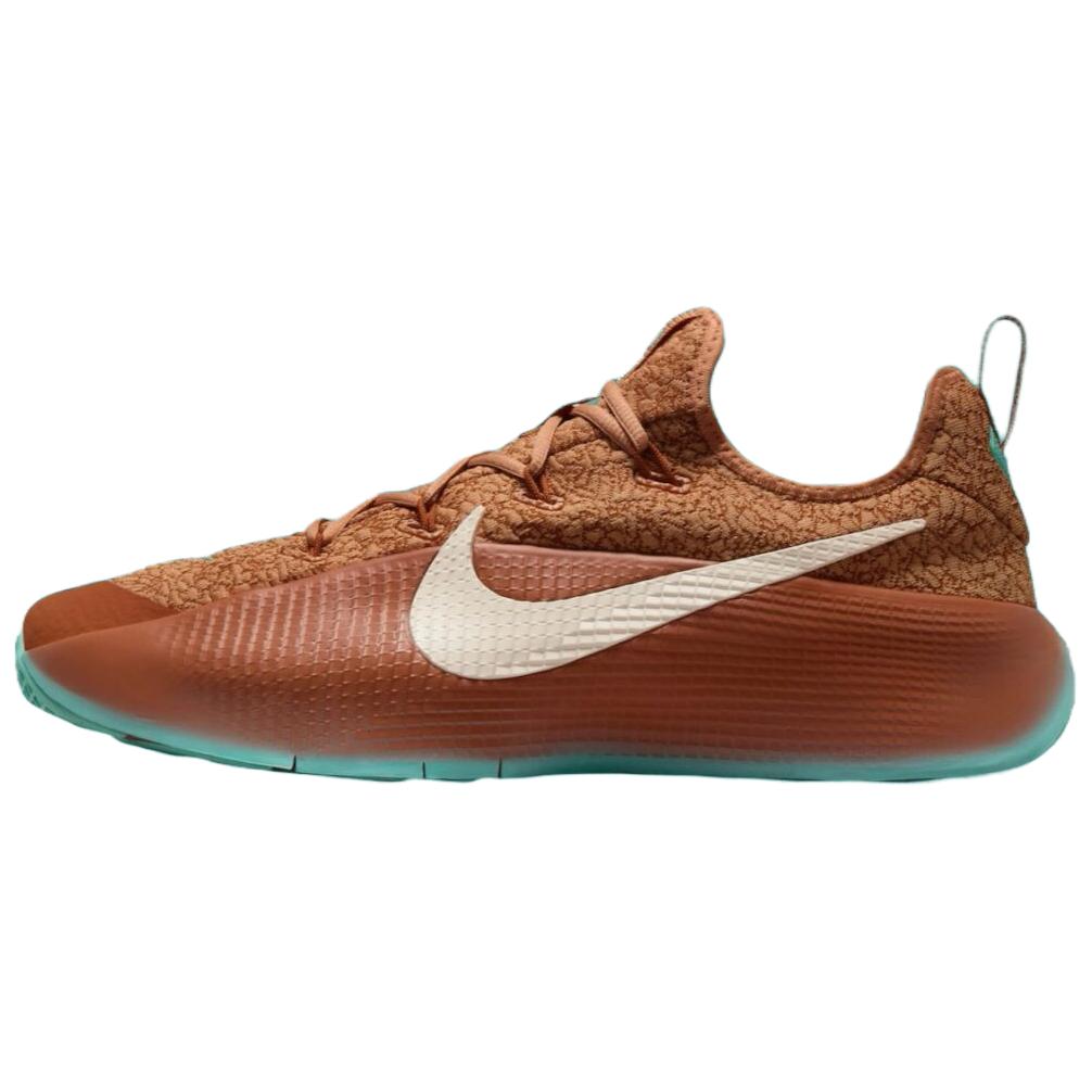 Nike LeBron TR 1 'Better With Age' FJ6151-200