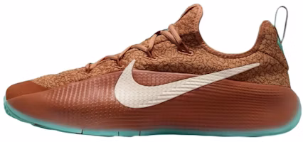 Nike LeBron TR 1 'Better With Age' FJ6151-200 Nike LeBron TR 1 'Better With Age' FJ6151-200