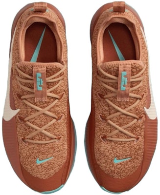 Nike LeBron TR 1 'Better With Age' FJ6151-200 Shop Nike LeBron TR 1 'Better With Age' FJ6151-200