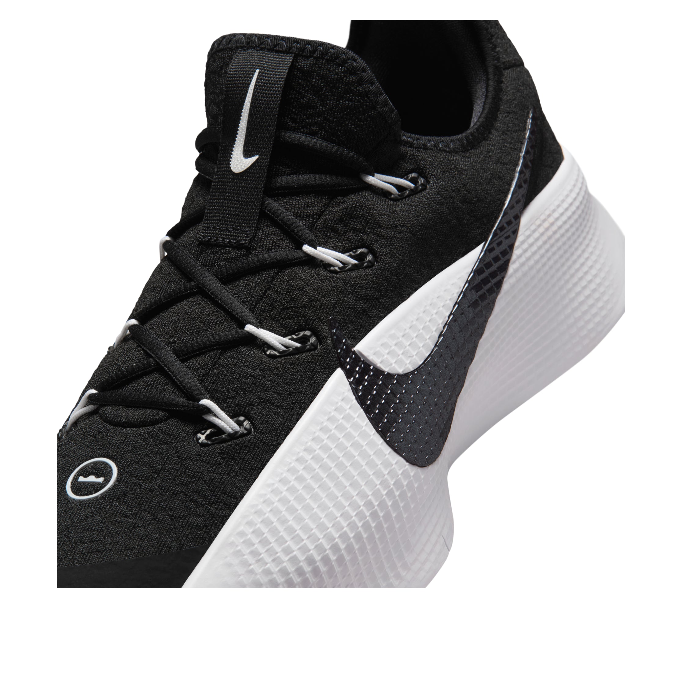 Details for Nike Lebron Tr 1 'Black White' FJ6151-007