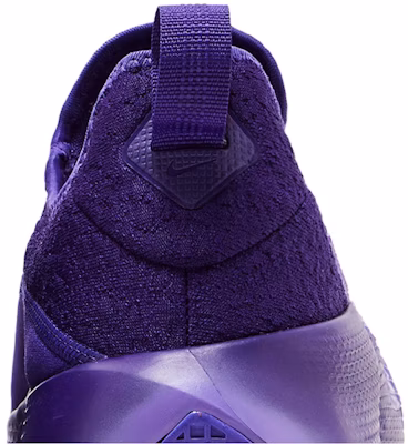 Nike LeBron TR 1 'Purple Rain' FJ6151-500 Sizing Nike LeBron TR 1 'Purple Rain' FJ6151-500