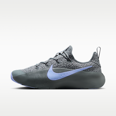 Nike LeBron TR 1 Cool Gray/Iron Gray/Aluminum FJ6151-008