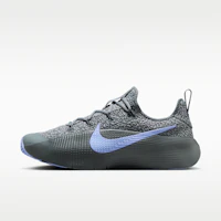 Nike LeBron TR 1 Cool Gray/Iron Gray/Aluminum FJ6151-008 Nike LeBron TR 1 Cool Gray/Iron Gray/Aluminum FJ6151-008