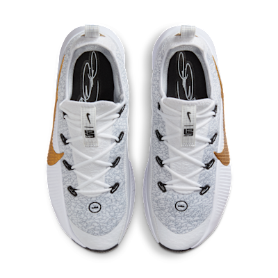 Shop 耐克LeBron TR 1 狼灰/白色/青铜/金属金色 FJ6151-006