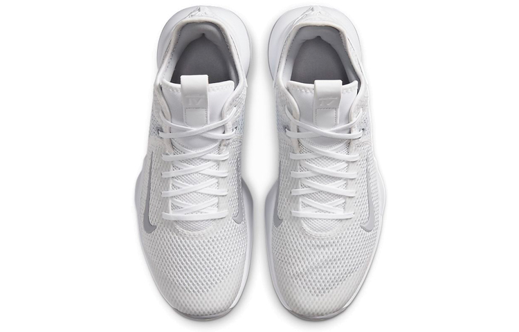 Shop ナイキ レブロン ウィットネス 4 "ホワイト/ウルフグレー" CV4004-100