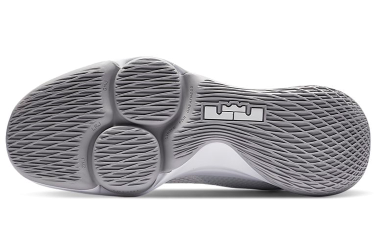 Details for ナイキ レブロン ウィットネス 4 "ホワイト/ウルフグレー" CV4004-100