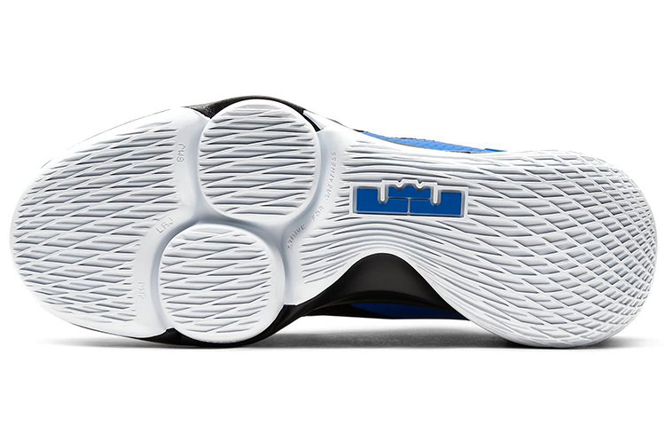 Details for Nike LeBron Witness 4 EP 'Hitam Hyper Cobalt' CD0188-007