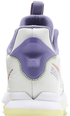 Nike LeBron Witness 5 'Summit White Metallic Bronze' CQ9380-102 Sizing Nike LeBron Witness 5 'Summit White Metallic Bronze' CQ9380-102