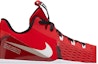 Order 나이키 르브론 위트니스 5 '유니버시티 레드' CQ9380-601