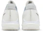 Details for 耐吉 Lebron Witness 6 EP '白金屬鋼' CZ4052-102/DC8994-102