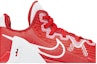 Order 나이키 르브론 위트니스 6 TB '유니버시티 레드' DO9843-600