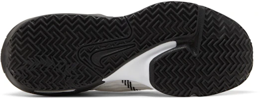 Purchase 耐吉 LeBron 見證者 6 TB '白黑色' DO9843-100