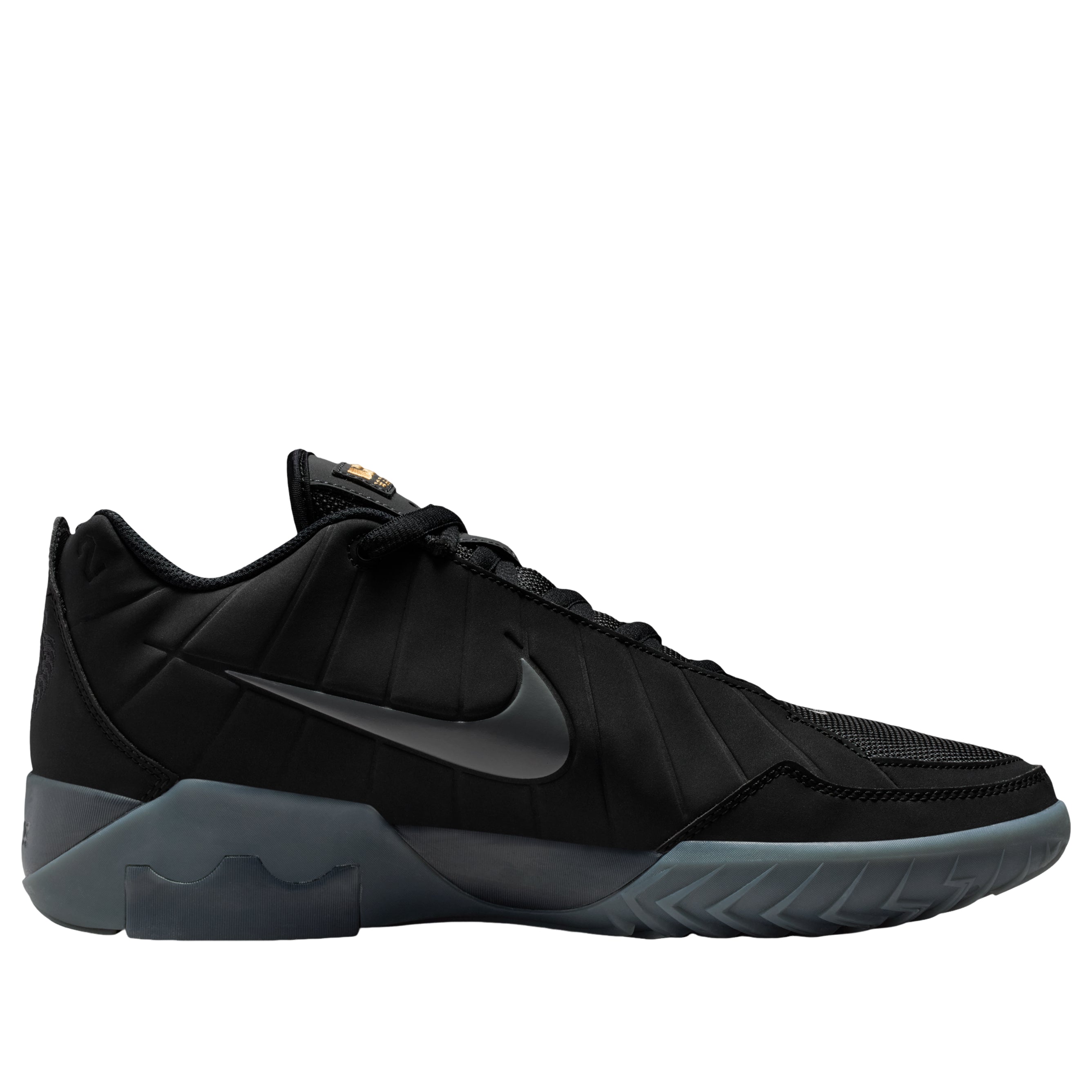 Details for Nike LeBron Witness 9 Schwarz Dunkelrauchgrau (Transparente Sohle) HQ8034-003
