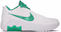Buy Nike LeBron Witness 9 EP ''Blanco Verde Estadio'' HQ8035-101