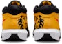 Details for Nike LeBron Witness VIII EP HQ2140-700