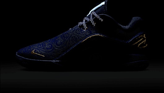 ナイキ レブロン XXII 'トークン' EP HV5146-400 3
