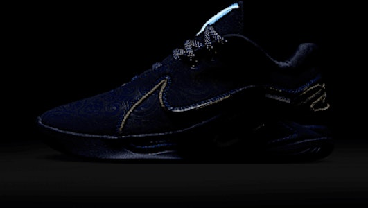 ナイキ レブロン XXII 'トークン' EP HV5146-400 2