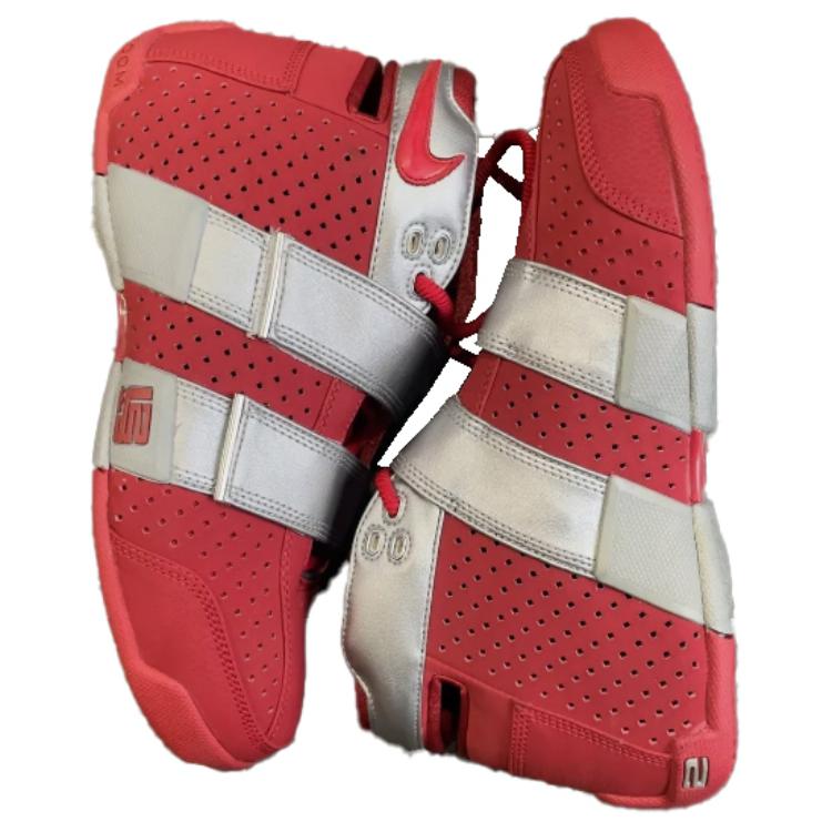 Lookbook Nike LeBron Zoom 20-5-5 'Ohio State Buckeyes' Zapatillas. 311145-661