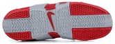 Shop Nike LeBron Zoom 20-5-5 'Ohio State Buckeyes' Lelaki Kasut Sukan 311145-661