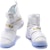 Kasut Nike LeBron Zoom Soldier 10 Pingat Emas 883333-174