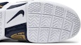 Purchase Nike LeBron Zoom Soldier 1 Think 16 (25 Straight) AO2088-400 Biru